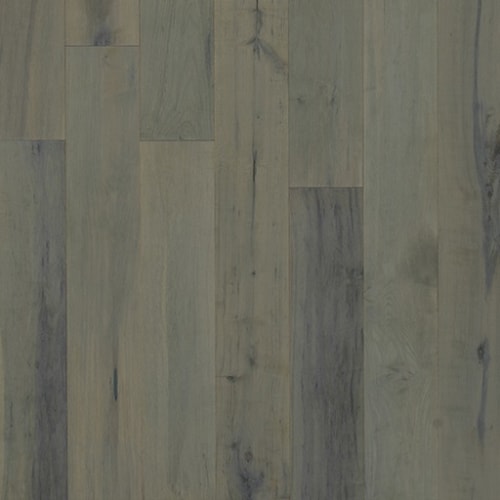Williams Maple