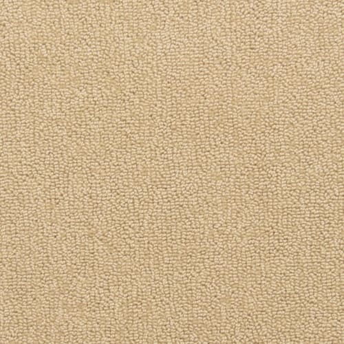 Fabrica Needle Point Tent Stitch Carpet - Bothell, Washington - Andy's 5  Star Flooring