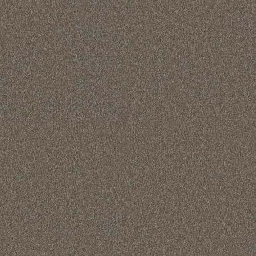 Microban® Polyester - El Dorado by Phenix Carpet - Prairie