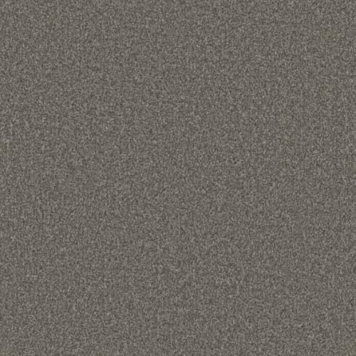 Microban® Polyester - El Dorado by Phenix Carpet - Trailways