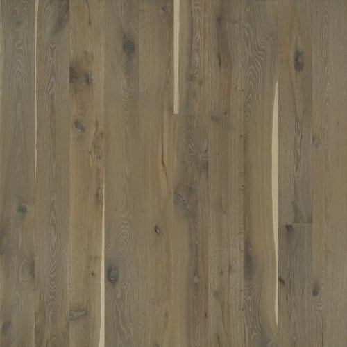 Alta Vista Hardwood by Hallmark Floors - Pismo Oak