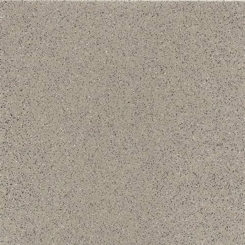 Gray Mingle 12"X12" Polished