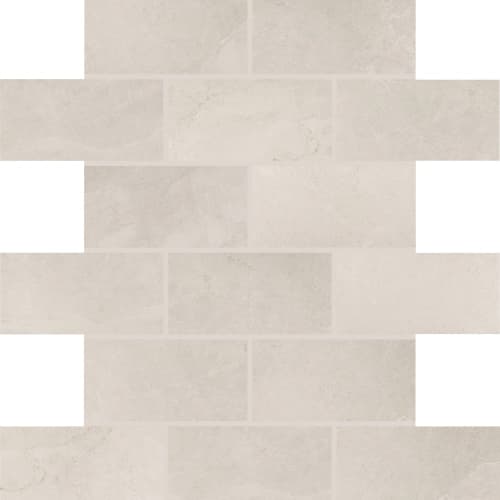 Core Fundamentals - Advantage by Dal-Tile - Portrait White 2"X4" Brick Joint