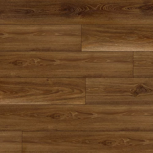 Designer Pro - Lion Rock by Express Flooring - Southern Magnolia