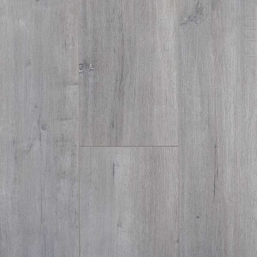 Silver Mink Cb020