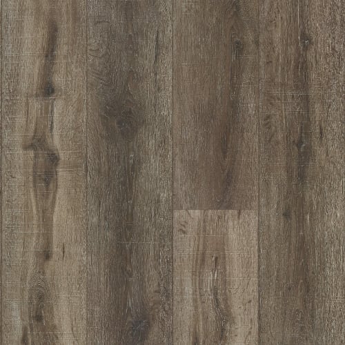 Rigidcore XL by Paramount Flooring - Fallen Tree