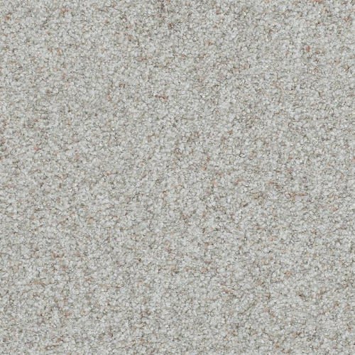 Boca Raton by Masland Carpets - Tenacious