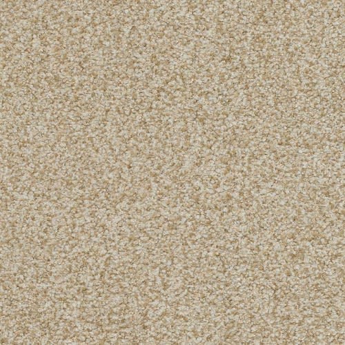 Boca Raton by Masland Carpets - Timeless