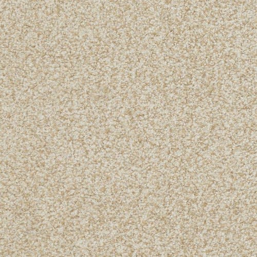 Boca Raton by Masland Carpets - Ageless