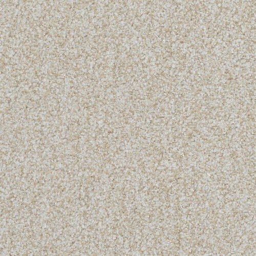 Boca Raton by Masland Carpets