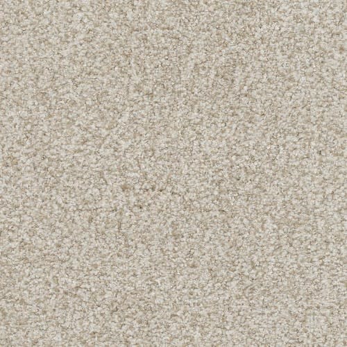 Boca Raton by Masland Carpets - Boundless