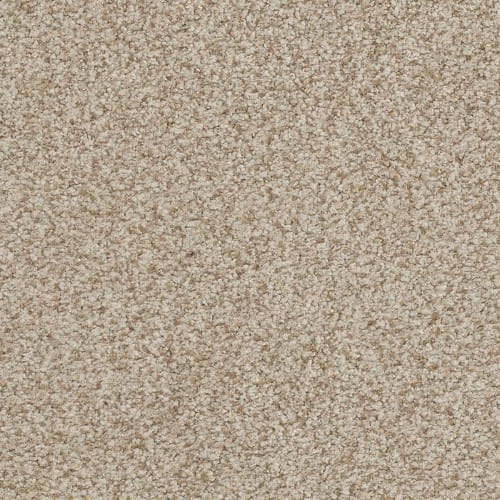 Boca Raton by Masland Carpets - Amazing