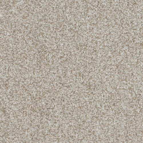 Boca Raton by Masland Carpets - Nonstop