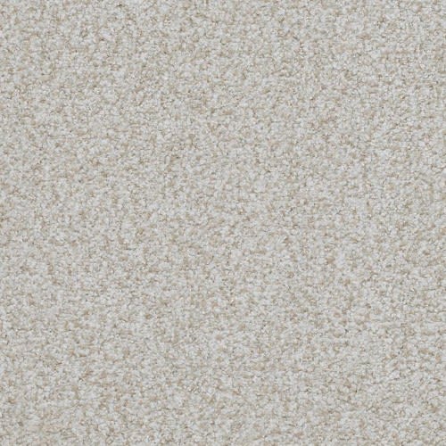 Boca Raton by Masland Carpets - Insistent