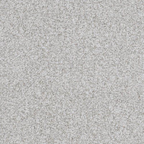 Boca Raton by Masland Carpets - Endless