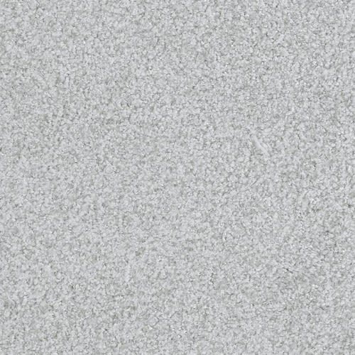 Boca Raton by Masland Carpets - Survival Grey