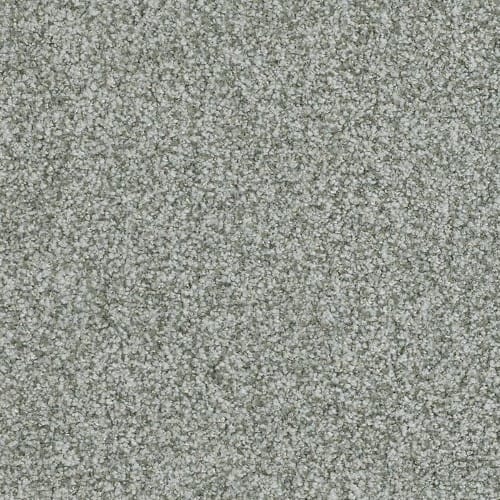 Boca Raton by Masland Carpets - Linger