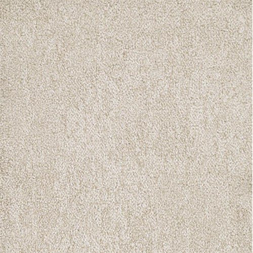 Buena Vida by Masland Carpets