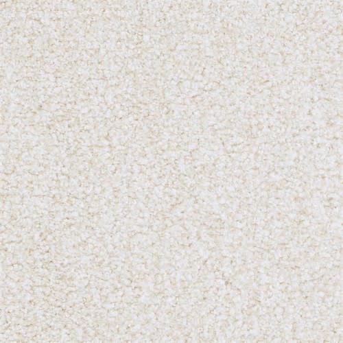 St. Augustine by Masland Carpets - Diligent