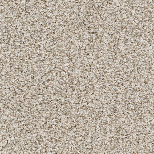 St. Augustine by Masland Carpets - Nonstop