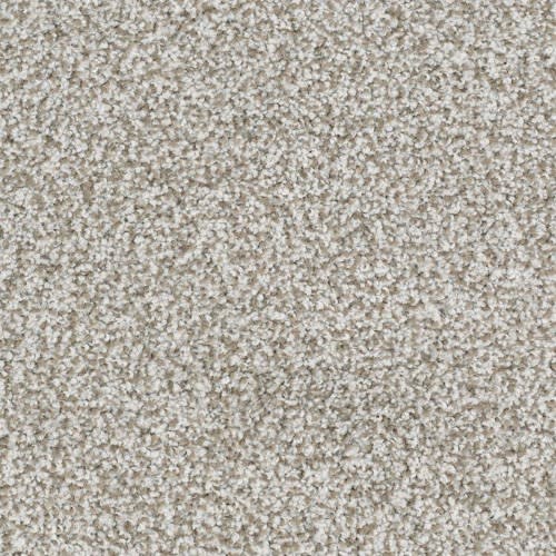 Sunset Key by Masland Carpets - Steadfast