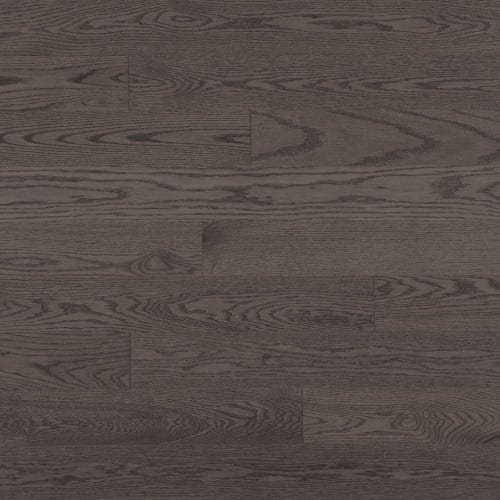 Admiration Engineered - Red Oak by Mirage - Charcoal - 4 1/4" Smooth