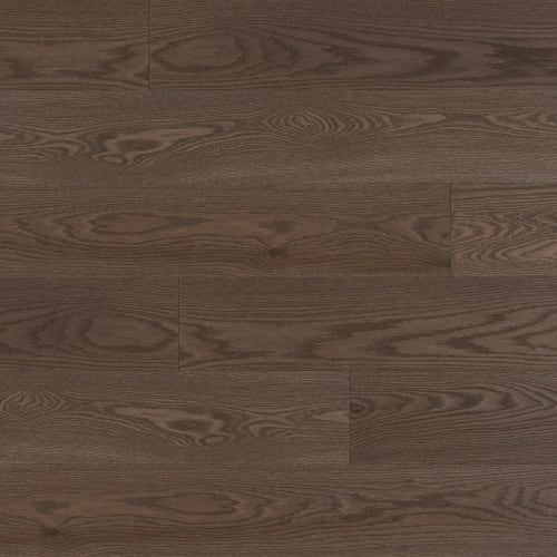 Admiration Engineered - Red Oak by Mirage - Charcoal - 6 1/2" Brushed