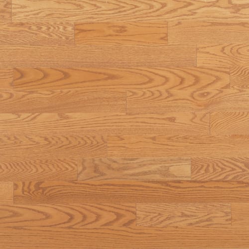 Admiration Engineered - Red Oak by Mirage - Golden - 5" Smooth