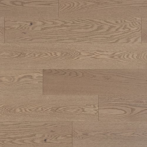 Rio - 3 1/4" Brushed
