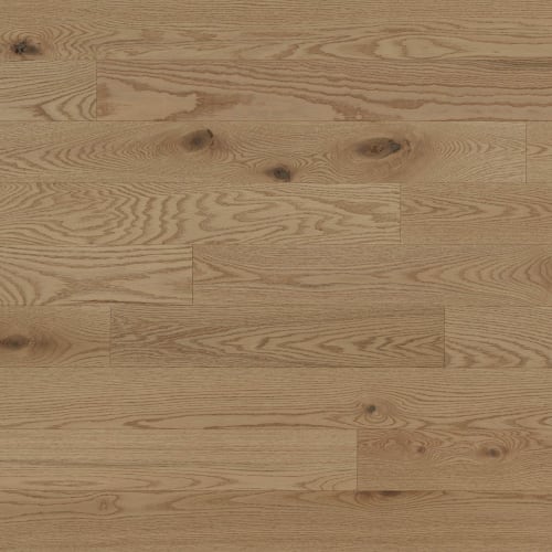 Paddle Ball - 6 1/2" Brushed