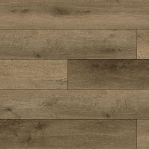 Alcala Plank by Premiere Performance Flooring - Rio