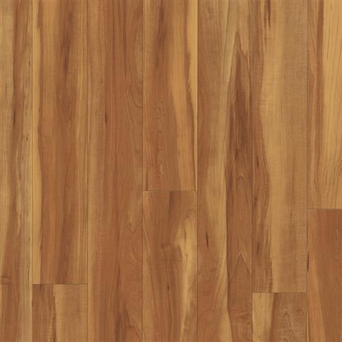 Fergus Plank by Premiere Performance - Lucius