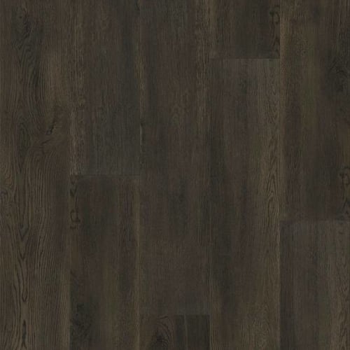 Odyssey by Shaw Industries - Dark Umber