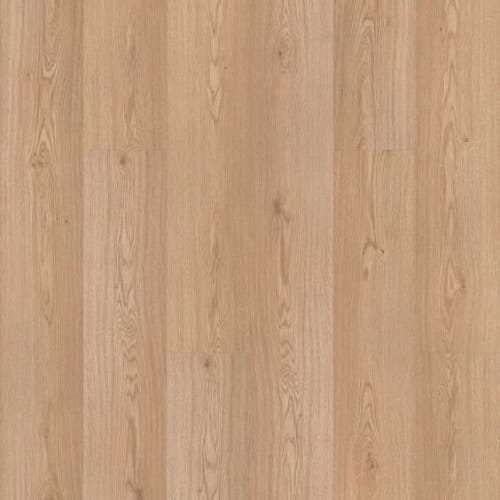 Cadence by Shaw Industries - Natural Oak