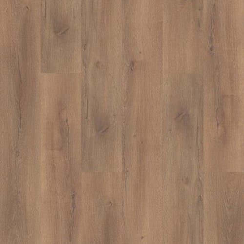 Brentwood by Shaw Industries - Expressive Brown