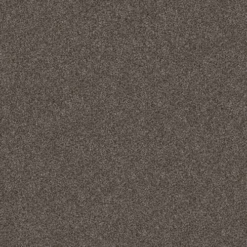 Elaborate by Carpet City - Graphite