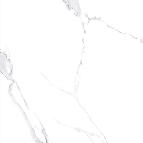 Calacatta White by Decovita - Polished 12X24