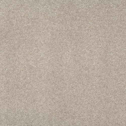 Indescribable Style by Smartstrand - Hearth Beige