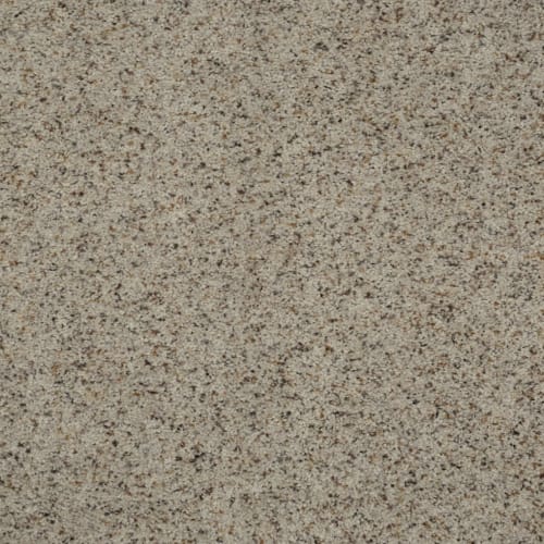 Classic Taste by Godfrey Hirst - Rustic Taupe