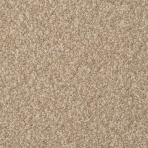 Heart's Content by 6.6 Nylon Carpet by Dixie - Portico