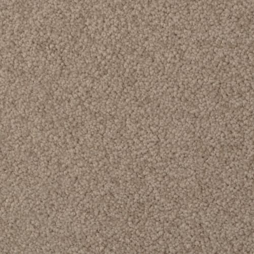 Heart's Content by 6.6 Nylon Carpet by Dixie - Stoneworks