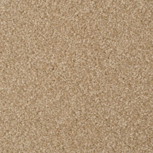 Heart's Content by 6.6 Nylon Carpet by Dixie