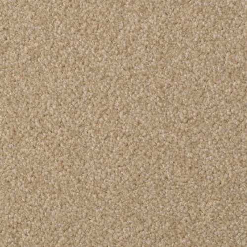 Heart's Content by 6.6 Nylon Carpet by Dixie - Suede