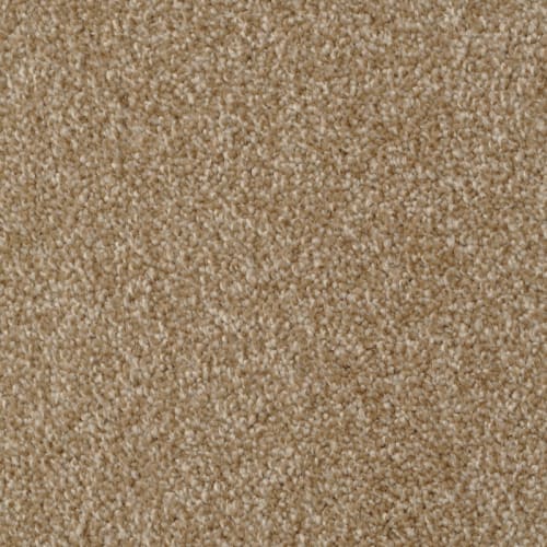 Heart's Content by 6.6 Nylon Carpet by Dixie - Cameo