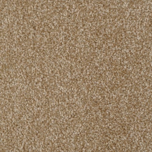 Amore by DH Floors - Cameo