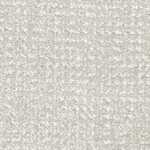 Pedigree by Masland Carpets - Vanity Fur