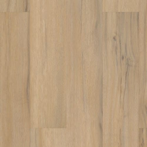 Coretec Classics by Coretec - Dodwell Oak