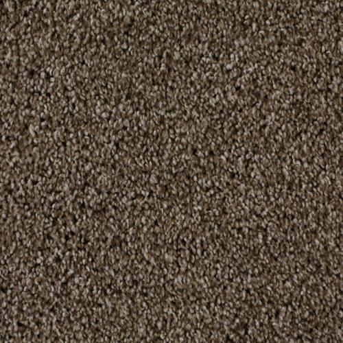 Sarasota by Vision Carpet Mills - Dove