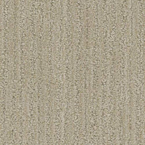 Floorever™ Petplus - All Inclusive by Phenix Carpet - Abundant