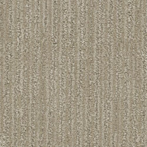 Floorever™ Petplus - All Inclusive by Phenix Carpet - Panoramic